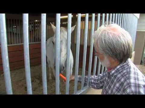 ManeGait 2010 Annual Video