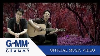 เรื่องมหัศจรรย์ - SOFA