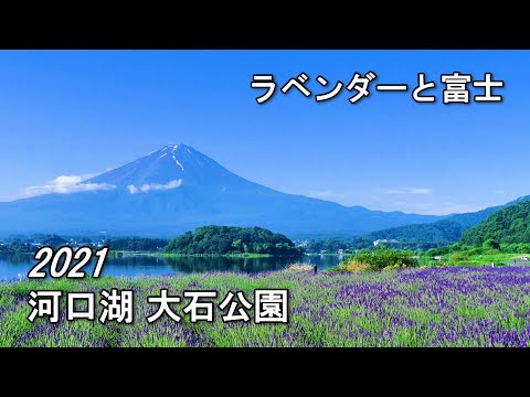 Mt. Fuji - Lake Kawaguchi
