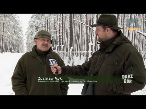 Darz Bór #6 - Dzicza zagroda, ubrania dla myśliwego i przedszkolaki w akcji