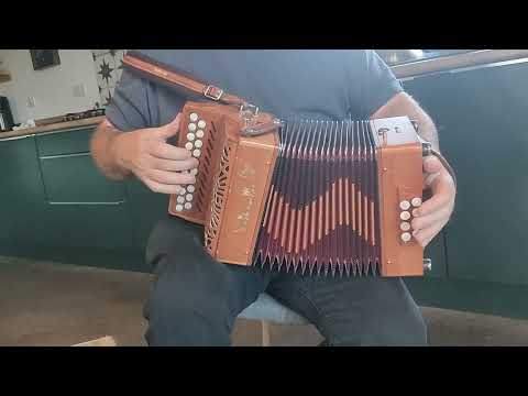 Accordion - Saltarelle - Image 2