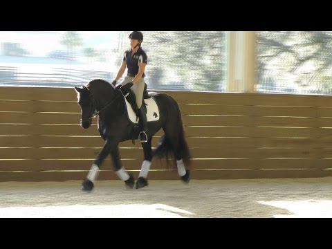 Mariah ISF at Iron Spring South, SOLD