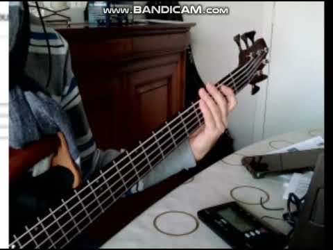 Radio Conga Negrita bass cover  ,