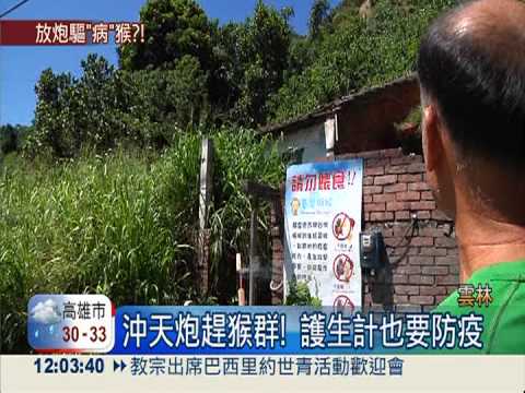 狂犬病驚驚! 鄉公所備鞭炮驅猴