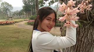 Vaj paj zoo nkauj heev nyob hauv nroog moos loob