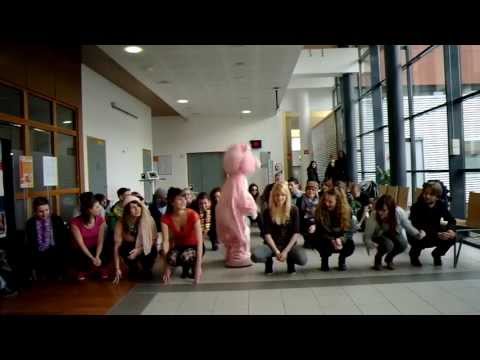Lipdub 2013 Martin Solveig - Everybody