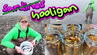 First time eating "Alaskan sardines" (Hooligan)-caught, smoked and canned!