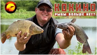 Платная рыбалка в кокино каширский район