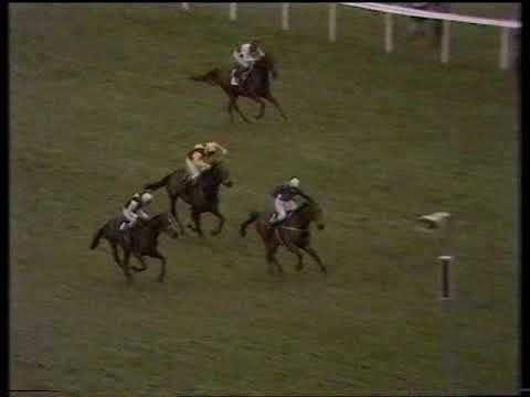 1977 Champion Hurdle Challenge Cup