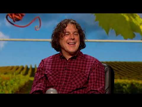 QI s10 e10 XL Jungles