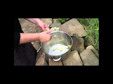 download lagu mp3 mp4 Meadowsweet Cordial, download lagu Meadowsweet Cordial gratis, unduh video klip Download Meadowsweet Cordial Mp3 dan Mp4 Music Gratis