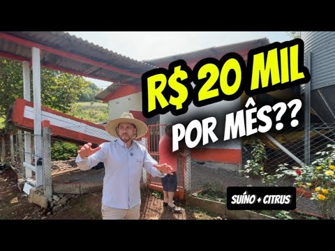 R$ 20 MIL por mês com granja… mas ninguém te conta isso