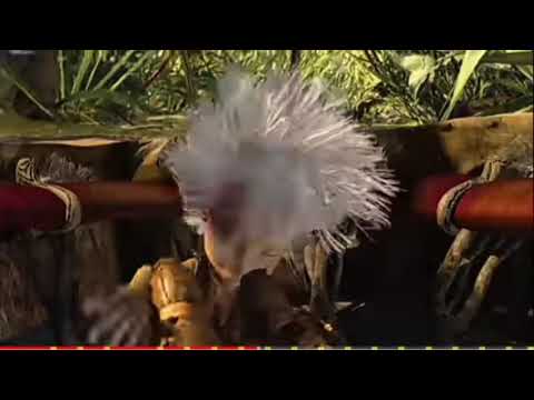 Kung fu wreking part 12 acupuncture/Shaw backstory