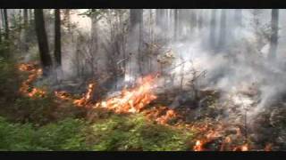 preview picture of video 'Coosa Burn.wmv'