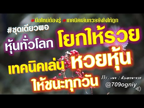 หวย หุ้น แม่น