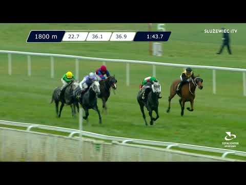 13.11.2022 - (Dzień 46; Gonitwa 6)