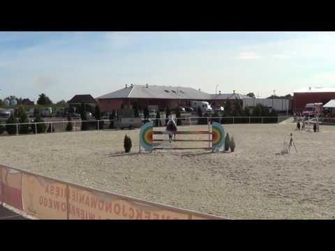 Pacino ZR-B Olsza czerwiec 2017 - N(120)