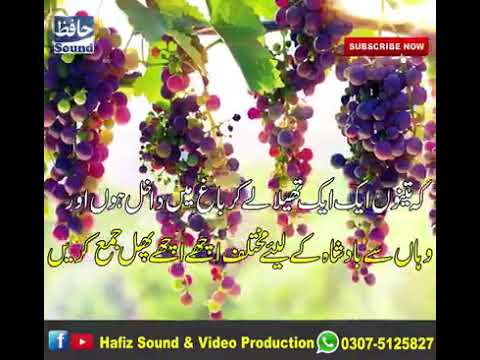 Sabaq es say zaroor hasel kray