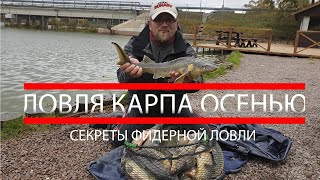 Ссылка