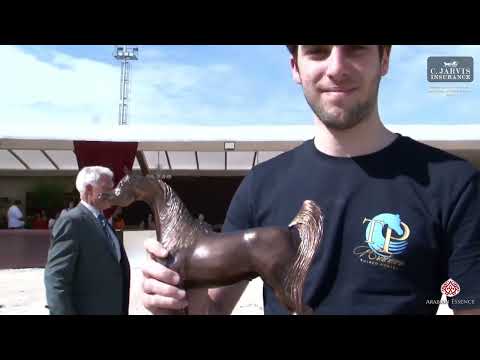 Brazilian National Arabian Horse Show 2023  Class FC