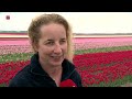App van Tulpenroute Flevoland doet het niet