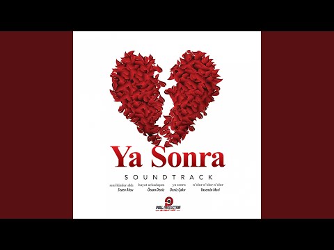 Hayat Arkadaşım Version