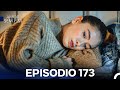 Endless Love Episode 173