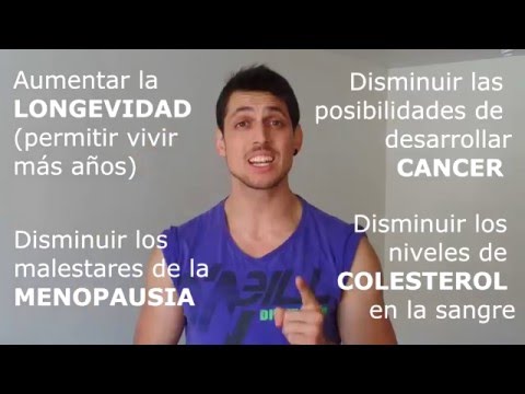 download lagu mp3 mp4 Cuantas Calorias Tiene La Soya, download lagu Cuantas Calorias Tiene La Soya gratis, unduh video klip Cuantas Calorias Tiene La Soya