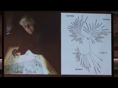 From the Human Microbiome Project to the Earth Microbiome Project - Rob Knight