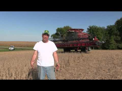 Marion Calmer Harvesting Tip: Harvest on Downwind Side of  Your Field
