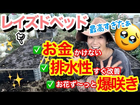 レイズドベッドを植える:これに注意する必要があります トピックス