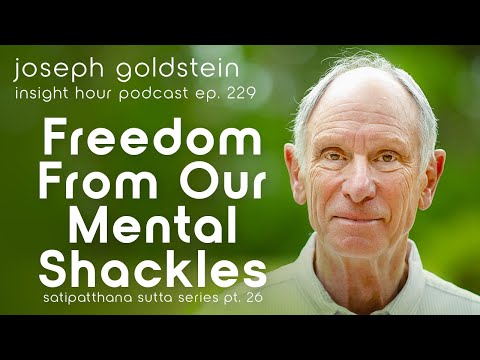 Buddhist Teaching on Perception w/ Joseph Goldstein – Insight Hour Ep.229 – Satipatthana Sutta Pt.26