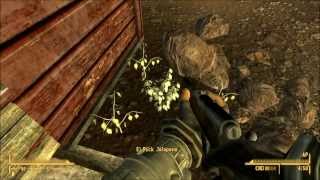 Let's Play Fallout New Vegas Part 3 - Bug's Bane