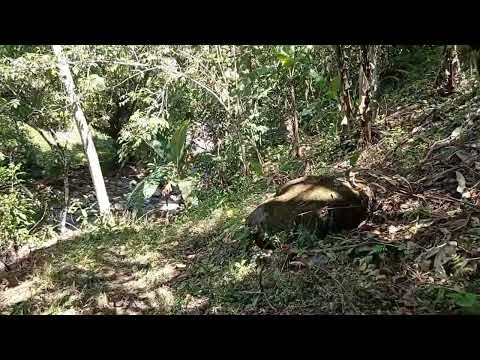 Imagen de Venta de Lotes y Terrenos en Tabarcia - Mora Tabarcia - SAN JOSÉ