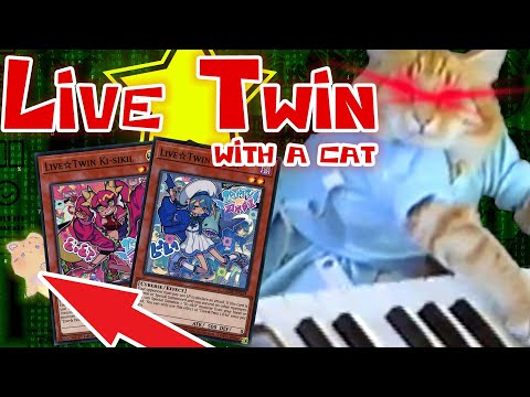 Live Twin With a Cat (Post-BODE Deck Theory)