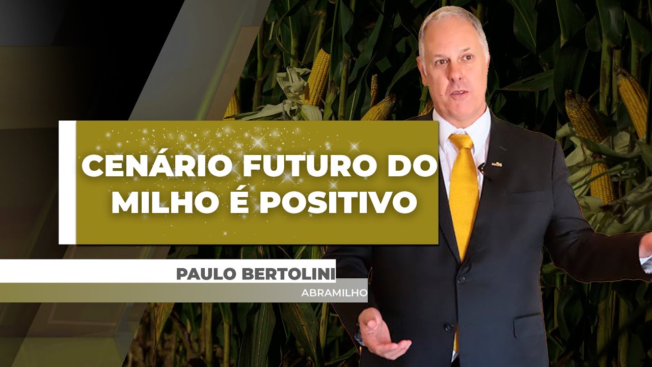 Cenário futuro do milho é promissor, mas infraestrutura precisa acompanhar