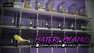 Download lagu 15 Desember 2025 READY STOCK RASMI,LC,YORKSHIRE. mp3 Download lagu 15 Desember 2025 READY STOCK RASMI,LC,YORKSHIRE. mp3