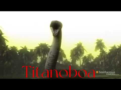Machimosaurus Rex vs Titanoboa