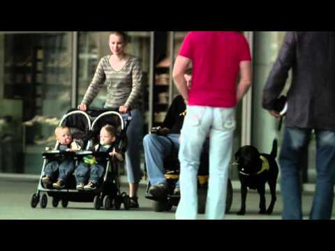 PomocneTlapky Kooperativa Cechomor