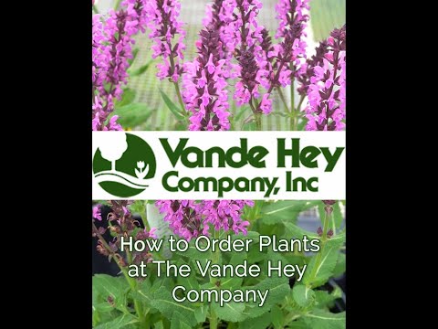 Plant Ordering Made Easy!