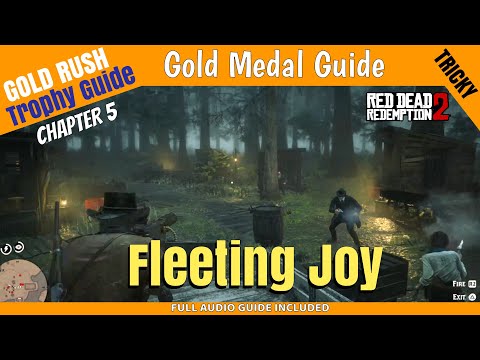 Fleeting Joy Gold Medal Tutorial - RDR2 Series 60
