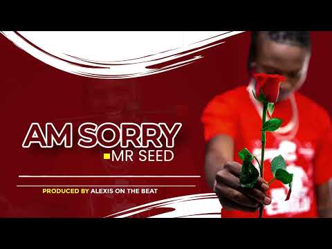 Thumbnail for Am Sorry video