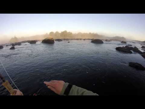 One that got away - Atlantic salmon fishing