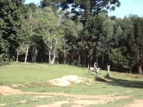 JOCASTA DA BELA ALIANÇA