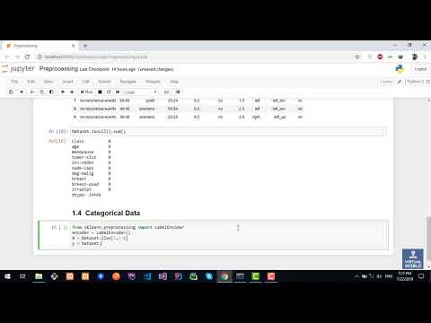 4 Preprocessing Label Encoder