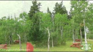 Leaning Tree Cafe and Campground Video