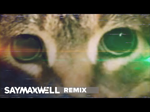 SayMaxWell - OIIA Spinning Cat (Remix)