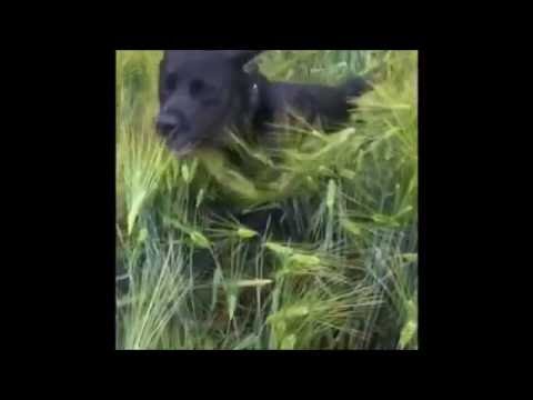 TH24-Videocontest: Hier ist der Gewinnerclip von Miriam Roth