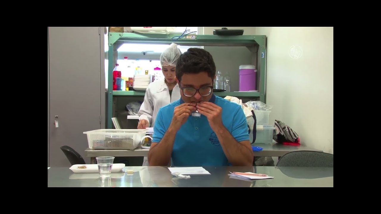 Análise Sensorial auxilia desenvolvimento de alimentos