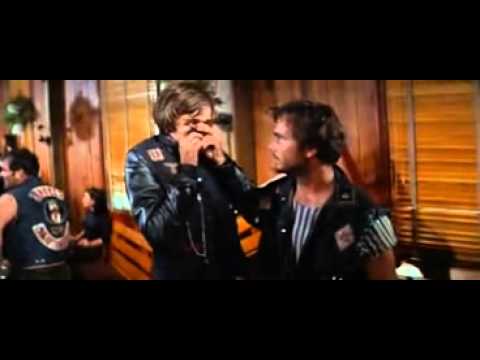 wild angels 1966 bongo party